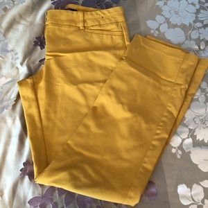 New York and Co Pants